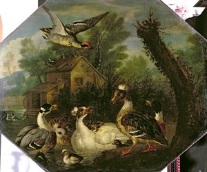 الطيور المائية الزخرفية وطيور البط على طاحونة البركة بواسطة بيتر كاستيلز